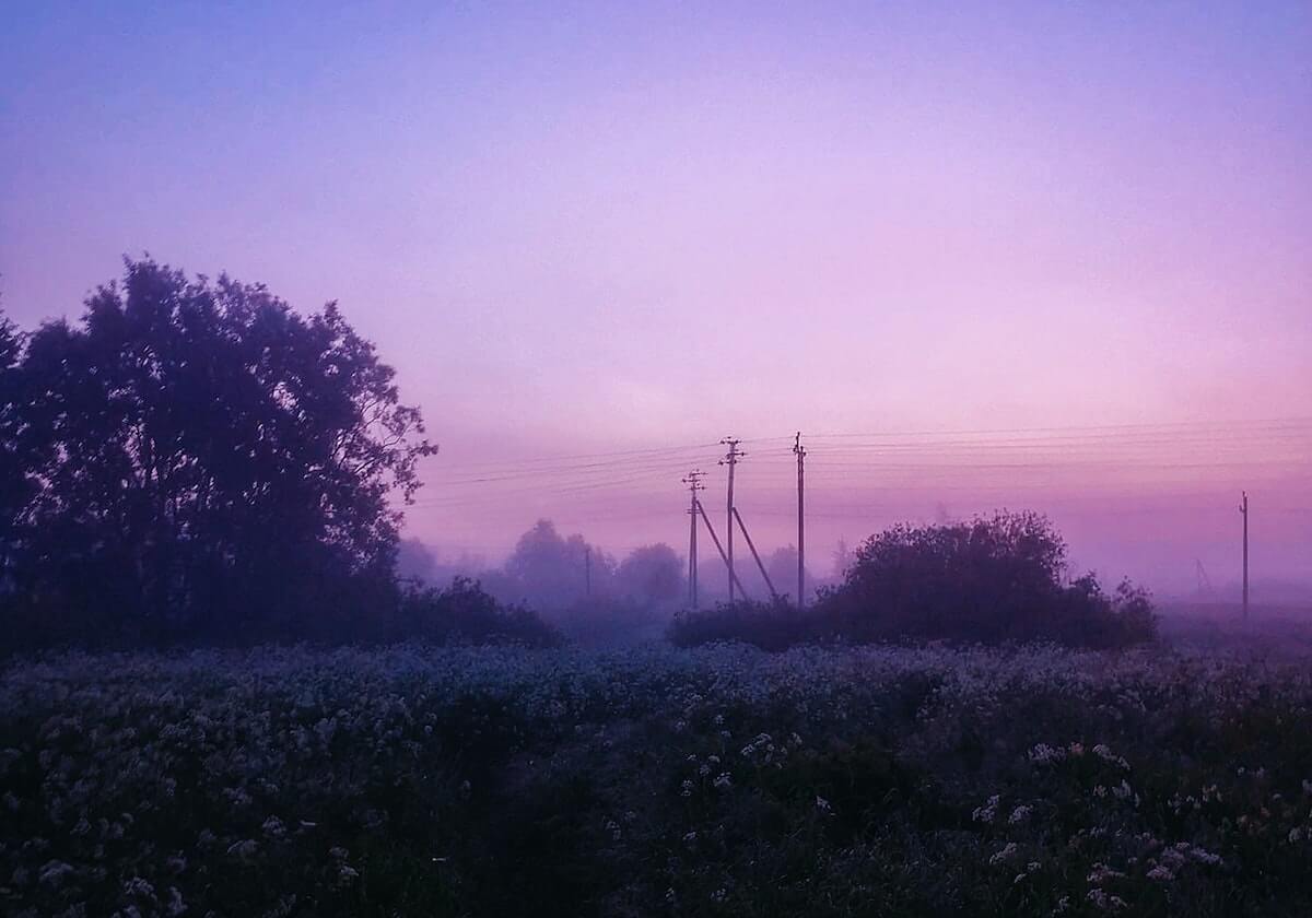 APP下载：用指尖开启高效生活的全新模式
